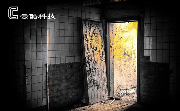 1672973701449013592.jpg 2.jpg